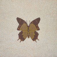 Metamophose-der Flug des Schmetterling, Acryl auf Leinwand, 100x100 cm